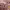 https://res.cloudinary.com/billionhands/image/upload/v1781434722/items/xikdmtaxydtrfmrsktsf.jpg-1cover