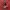 https://res.cloudinary.com/billionhands/image/upload/v1781435782/items/iv52rnpwf4yrelsujblg.webp-0cover