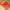 https://res.cloudinary.com/billionhands/image/upload/v1781436859/items/n6kiyc5unutxommieiib.jpg-1cover