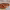 https://res.cloudinary.com/billionhands/image/upload/v1781437032/items/ymggvcrrwkmr3vabgdcq.webp-1cover