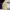 https://res.cloudinary.com/billionhands/image/upload/v1781437049/items/x5iuwfuugjxsnnnqwbeq.webp-0cover