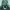 https://res.cloudinary.com/billionhands/image/upload/v1781437051/items/hyyfpemrbyvq565ils0i.jpg-2cover