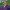 https://res.cloudinary.com/billionhands/image/upload/v1781437953/items/ntuvfodwr7x6pygmv8eh.webp-0cover
