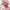 https://res.cloudinary.com/billionhands/image/upload/v1781438058/items/utcvmqpnxgjlqp1dvsrh.webp-3cover