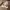 https://res.cloudinary.com/billionhands/image/upload/v1781438101/items/qvyyqyee36dstd5le6wu.webp-2cover