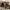 https://res.cloudinary.com/billionhands/image/upload/v1781439533/items/efzacvjphhx5nrhm1x98.jpg-0cover