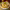 https://res.cloudinary.com/billionhands/image/upload/v1781439718/items/kvygzwwzjsfvliavgrne.webp-0cover