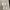 https://res.cloudinary.com/billionhands/image/upload/v1781439718/items/z8exl3zcwycx60nkk4wh.jpg-2cover