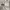 https://res.cloudinary.com/billionhands/image/upload/v1781439719/items/xobfyzhwuhywfvorglqx.jpg-3cover
