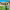 https://res.cloudinary.com/billionhands/image/upload/v1781440246/items/a1ceqvklg9i3gohkj97m.jpg-2cover