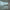 https://res.cloudinary.com/billionhands/image/upload/v1781440273/items/ahc7kqeajlu9xzvv0kev.jpg-1cover