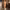 https://res.cloudinary.com/billionhands/image/upload/v1781440888/items/ewzri4xsuiowqbntrbh8.avif-1cover