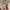 https://res.cloudinary.com/billionhands/image/upload/v1781441254/items/nixjkratgotcenblps6n.jpg-1cover