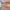 https://res.cloudinary.com/billionhands/image/upload/v1781442924/items/gssha5gtk3ei7blfnl5z.jpg-2cover
