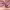 https://res.cloudinary.com/billionhands/image/upload/v1781444627/items/vlfaqqugvxyld9durpx1.jpg-1cover