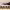 https://res.cloudinary.com/billionhands/image/upload/v1781444795/items/mt4qthlffso2iit6iibu.jpg-0cover