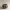 https://res.cloudinary.com/billionhands/image/upload/v1781445382/items/hbfreunwfwfby8pxnf2d.webp-0cover