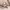 https://res.cloudinary.com/billionhands/image/upload/v1781445388/items/yg55suueokexbdsihvvj.jpg-2cover