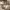 https://res.cloudinary.com/billionhands/image/upload/v1781446616/items/dpnogctv3n8hyupa1id2.jpg-2cover