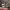 https://res.cloudinary.com/billionhands/image/upload/v1781447280/items/qacv2bmo1ehjncbqx4n4.jpg-2cover