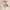 https://res.cloudinary.com/billionhands/image/upload/v1781448091/items/dgikvvtin9dqq0copsiu.jpg-3cover