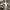 https://res.cloudinary.com/billionhands/image/upload/v1781448695/items/vjskbteriwjirvbwsg3r.webp-3cover