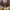 https://res.cloudinary.com/billionhands/image/upload/v1781448929/items/rdkkl8cml6n1hg2lfq4u.jpg-3cover