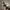 https://res.cloudinary.com/billionhands/image/upload/v1781449902/items/zbnzaoqrxwzvlba5sn1q.jpg-0cover