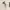 https://res.cloudinary.com/billionhands/image/upload/v1781450942/items/np07zn2kxjhboned8rgo.jpg-3cover