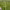 https://res.cloudinary.com/billionhands/image/upload/v1781450942/items/wzcbbhejdjw0sqyaan5t.jpg-0cover