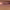 https://res.cloudinary.com/billionhands/image/upload/v1781451940/items/dwjcrl1x48x3cvzefdlt.jpg-1cover