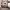 https://res.cloudinary.com/billionhands/image/upload/v1781451972/items/rtgi6jsemy5idqkp6rsp.webp-2cover