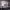https://res.cloudinary.com/billionhands/image/upload/v1781451980/items/b076udxe8diqebmonpx8.jpg-2cover
