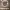 https://res.cloudinary.com/billionhands/image/upload/v1781451985/items/lw5wewqle0xija1abc8m.webp-3cover