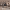 https://res.cloudinary.com/billionhands/image/upload/v1781454417/items/zz1v0nlgk856tc2upr8e.webp-0cover