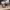 https://res.cloudinary.com/billionhands/image/upload/v1781455538/items/euussyoo6r0efz016rzn.jpg-3cover