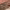 https://res.cloudinary.com/billionhands/image/upload/v1781455567/items/xnzg89hnndcpdti9t6bi.webp-3cover