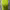https://res.cloudinary.com/billionhands/image/upload/v1781456577/items/z5wqxx7witjrb8omirfm.jpg-1cover