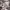 https://res.cloudinary.com/billionhands/image/upload/v1781457329/items/vksjpg4iyqdcusjcp7lr.jpg-0cover