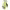 https://res.cloudinary.com/billionhands/image/upload/v1781458794/items/ryxx85pqscofnugtr985.avif-2cover