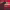 https://res.cloudinary.com/billionhands/image/upload/v1781459239/items/kbgdw3aohxntyzjz5lwb.jpg-2cover