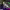 https://res.cloudinary.com/billionhands/image/upload/v1781459244/items/r2tyfy7qlm6c1neleg2j.jpg-0cover