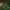 https://res.cloudinary.com/billionhands/image/upload/v1781459755/items/bexvhsji1edw3ad4x3yu.jpg-3cover