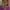 https://res.cloudinary.com/billionhands/image/upload/v1781459933/items/jrtuunh9ogwmewubbzit.webp-1cover