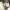 https://res.cloudinary.com/billionhands/image/upload/v1781460330/items/lekzf6xvj0oh8gpci2cu.jpg-3cover