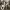https://res.cloudinary.com/billionhands/image/upload/v1781463307/items/st9rel6hhgaqmpuufoiw.jpg-0cover