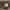https://res.cloudinary.com/billionhands/image/upload/v1781463350/items/lvf5ymg3aqe6mnbp590j.jpg-3cover