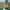 https://res.cloudinary.com/billionhands/image/upload/v1781467730/items/yhkjk7s0vogdzawwcwg1.jpg-2cover
