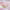 https://res.cloudinary.com/billionhands/image/upload/v1781468276/items/h9yprl4yghkq1yjvicie.jpg-0cover