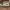 https://res.cloudinary.com/billionhands/image/upload/v1781468599/items/aeze5trdr1af1k24xqdy.webp-0cover